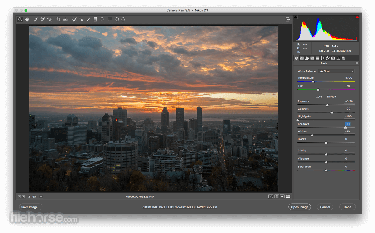 Adobe camera raw filter download